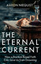 The Eternal Current (How a Practice-Based Faith Can Save Us from Drowning) by Aaron Niequist, 9780735291164