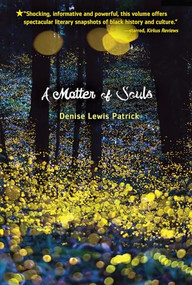 A Matter of Souls - 9781541514829 by Denise Lewis Patrick, 9781541514829
