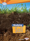 Studying Soil - 9781467707947 by Sally M. Walker, 9781467707947