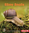 Slimy Snails - 9781512412222 by Laura Hamilton Waxman, 9781512412222