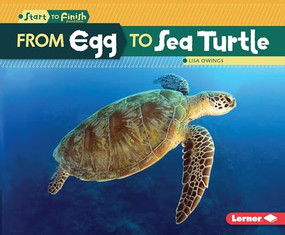 From Egg to Sea Turtle - 9781512418279 by Lisa Owings, 9781512418279