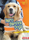 Hero Service Dogs - 9781512431100 by Jennifer Boothroyd, 9781512431100