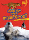 ¿Sabes algo sobre mamíferos? (Do You Know about Mammals?) (Spanish Edition) by Buffy Silverman, 9780761393757