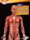 Your Muscular System - 9781580139618 by Rebecca L. Johnson, 9781580139618