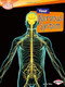 Your Nervous System - 9780761374503 by Joelle Riley, 9780761374503