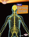 Your Nervous System - 9780761374503 by Joelle Riley, 9780761374503