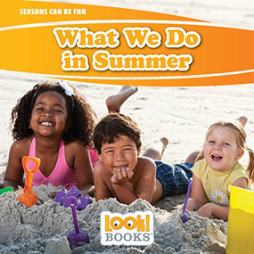 What We Do in Summer - 9781634403078 by JoAnn Early Macken, 9781634403078