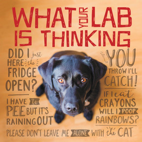 What Your Lab is Thinking by Willow Creek Press, 9781682348222
