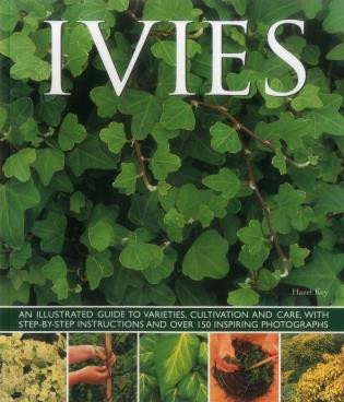 Ivies (An illustrated guide to varieties, cultivation and care, with step-by-step instructions and over 150 inspiring photographs) by Hazel Key, 9781780193687