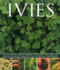 Ivies (An illustrated guide to varieties, cultivation and care, with step-by-step instructions and over 150 inspiring photographs) by Hazel Key, 9781780193687