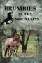 Brumbies in the Mountains by Paula Boer, 9781925759426