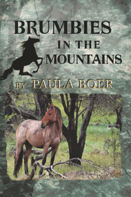 Brumbies in the Mountains by Paula Boer, 9781925759426