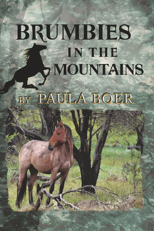 Brumbies in the Mountains by Paula Boer, 9781925759426