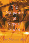The Naipauls of Nepaul Street by Savi Nepaul Akal, 9781845233648