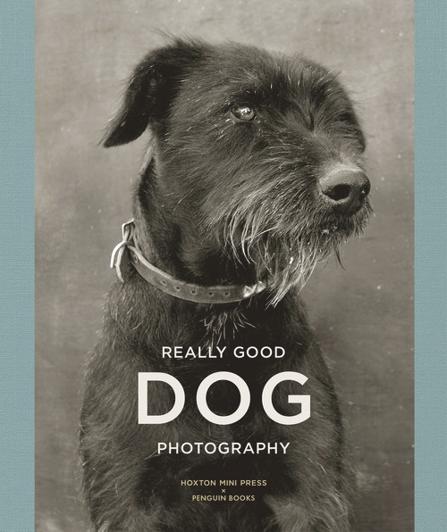 Really Good Dog Photography by Lucy Davies, Hoxton Mini Press, Penguin Books, 9781846149429