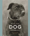 Really Good Dog Photography by Lucy Davies, Hoxton Mini Press, Penguin Books, 9781846149429