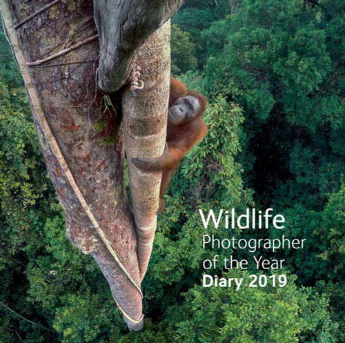 Wildlife Photographer of the Year Desk Diary 2019 by Natural History Museum, 9780565094546