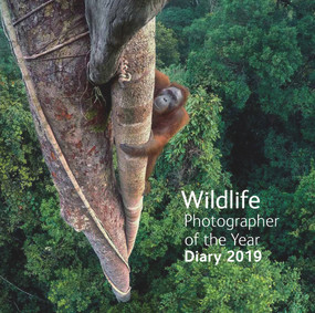 Wildlife Photographer of the Year Desk Diary 2019 by Natural History Museum, 9780565094546