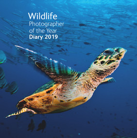 Wildlife Photographer of the Year Pocket Diary 2019 by Natural History Museum, 9780565094553