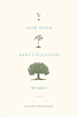 How Does Sanctification Work? by David Powlison, 9781433556104