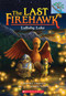 Lullaby Lake: Branches Book (Last Firehawk #4) by Katrina Charman, Jeremy Norton, 9781338122671