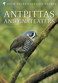 Antpittas and Gnateaters by Harold Greeney, David Beadle, 9781472919649