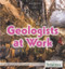 Geologists at Work by Philip Wolny, 9781680487602