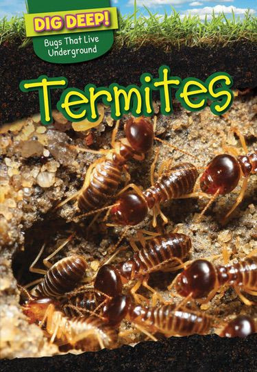 Termites by Liz Chung, 9781499420623
