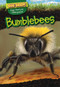 Bumblebees by Omar Stone, 9781499420463