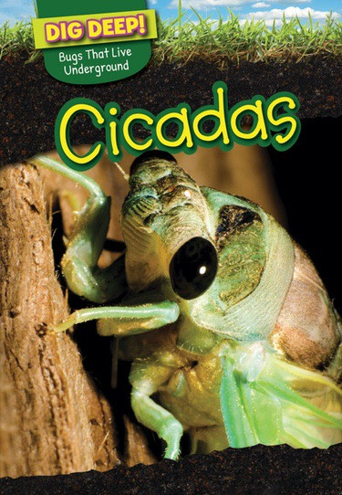 Cicadas - 9781499420500 by Linda Buellis, 9781499420500