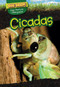 Cicadas - 9781499420500 by Linda Buellis, 9781499420500