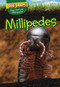 Millipedes by Wendell Rhodes, 9781499420586