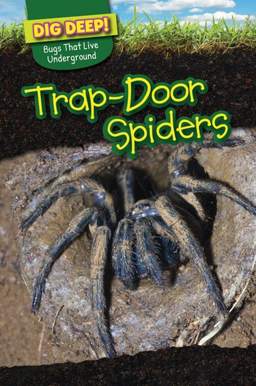 Trap-Door Spiders by Emily Wilson, 9781499420661