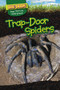 Trap-Door Spiders by Emily Wilson, 9781499420661