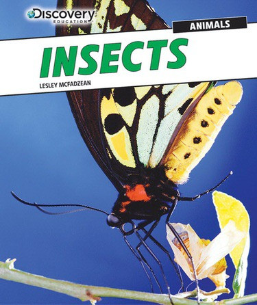 Insects - 9781477769539 by Lesley McFadzean, 9781477769539