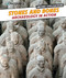 Stones and Bones by Kathryn Steele, 9781477700914