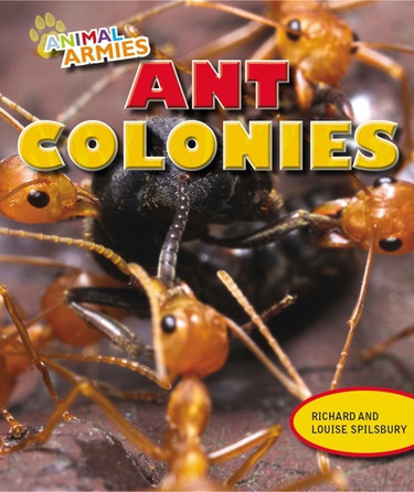 Ant Colonies by Louise Spilsbury, Richard Spilsbury, 9781477703267