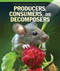 Producers, Consumers, and Decomposers by Dava Pressberg, 9781499426199