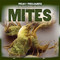 Mites by Lorraine Harrison, 9781499407594