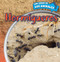 Hormigueros (Inside Anthills) by Henry Abbot, 9781499405958