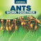 Ants Work Together by Nora Ellison, 9781508155546