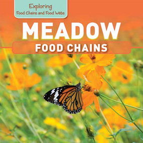 Meadow Food Chains by Katie Kawa, 9781499401578