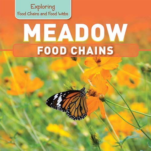 Meadow Food Chains by Katie Kawa, 9781499401578