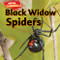Black Widow Spiders - 9781477757482 by Sam Hesper, 9781477757482
