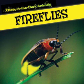 Fireflies - 9781499401172 by Sara Howell, 9781499401172
