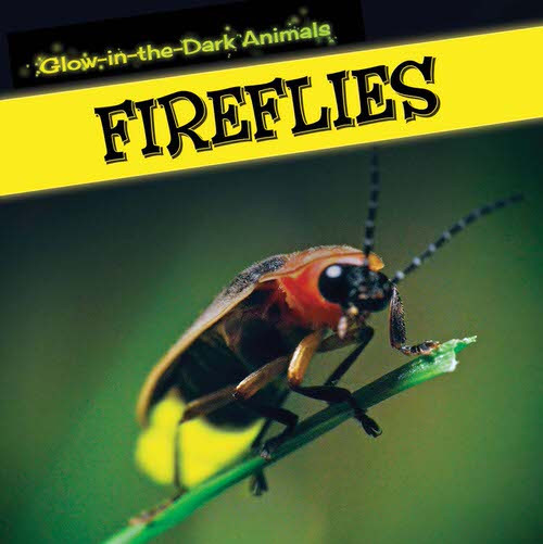 Fireflies - 9781499401172 by Sara Howell, 9781499401172
