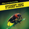 Fireflies - 9781499401172 by Sara Howell, 9781499401172