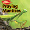 Praying Mantises by Sam Hesper, 9781477757734