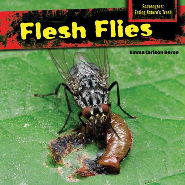 Flesh Flies by Emma Carlson Berne, 9781477765906