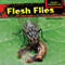 Flesh Flies by Emma Carlson Berne, 9781477765906